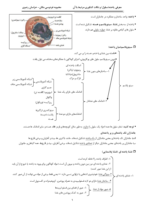 یاخته (سلول) و نکات کنکوری مرتبط با آن