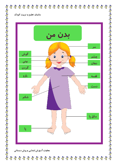 کاربرگ آشنایی با اجزاء بدن ویژه پیش دبستانی