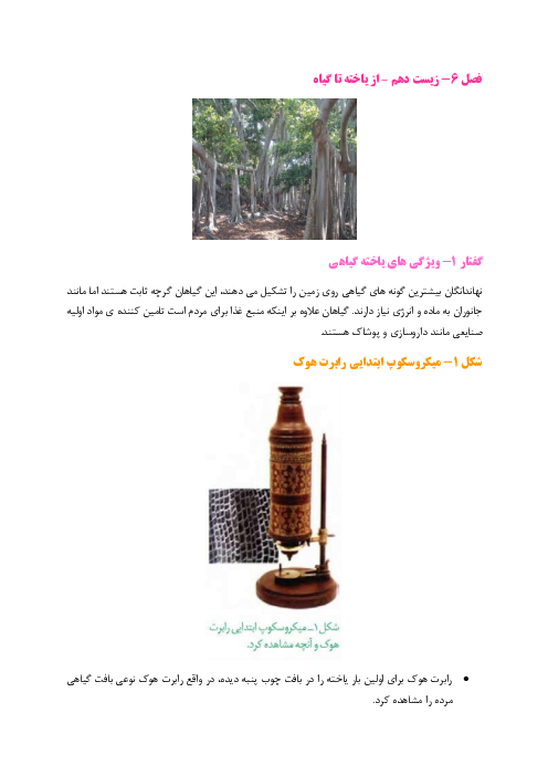 جزوه فصل 6 زیست دهم | از یاخته تا گیاه 