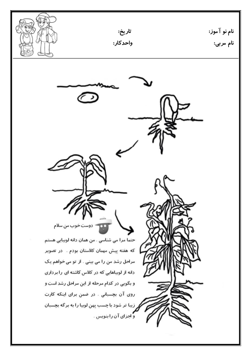 کاربرگ واحد کار علوم پیش دبستانی | گیاهان