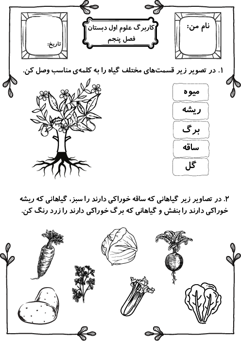 مجموعه کاربرگ علوم اول ابتدایی فصل 5 تا 14 
