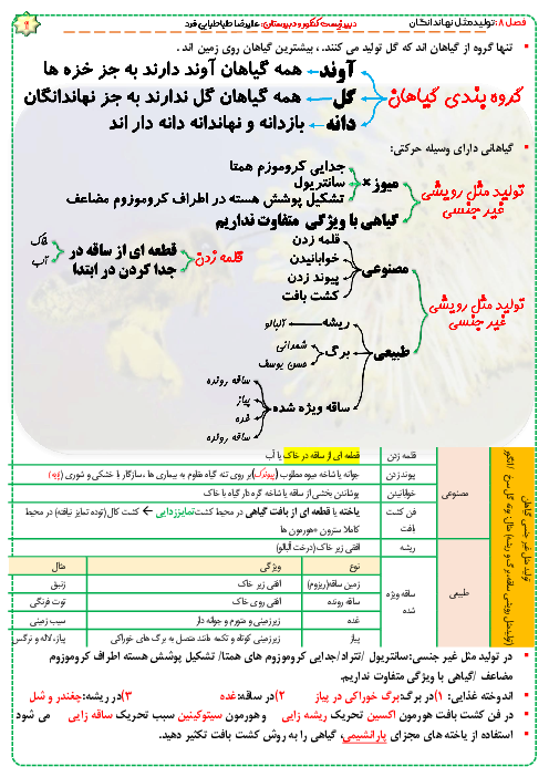 مایند مپ (نمودار درختی) زیست شناسی یازدهم  |  فصل 8: تولیدمثل نهاندانگان