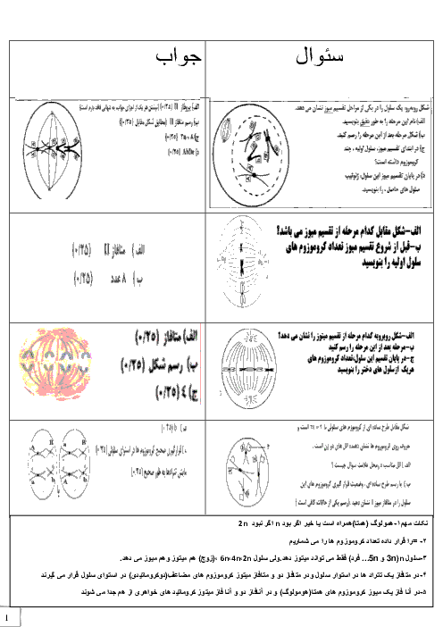 نمونه سوالات تصویری زیست شناسی (2) یازدهم رشته تجربی + پاسخ | تقسیم میوز و میتوز