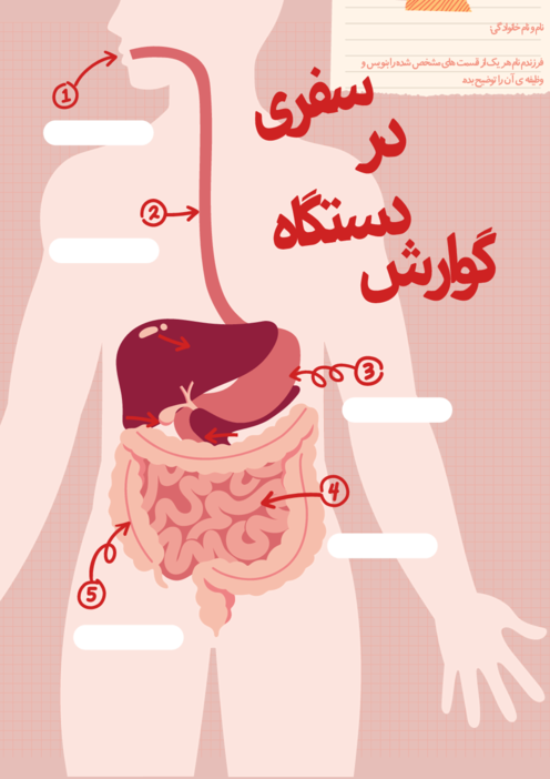 کاربرگ مهارت محور علوم تجربی چهارم دبستان شهید آهنگری | سفری در دستگاه گوارش