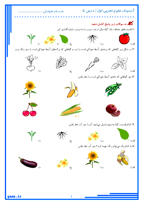 آزمونک علوم تجربی اول دبستان | درس 5: دنیای گیاهان