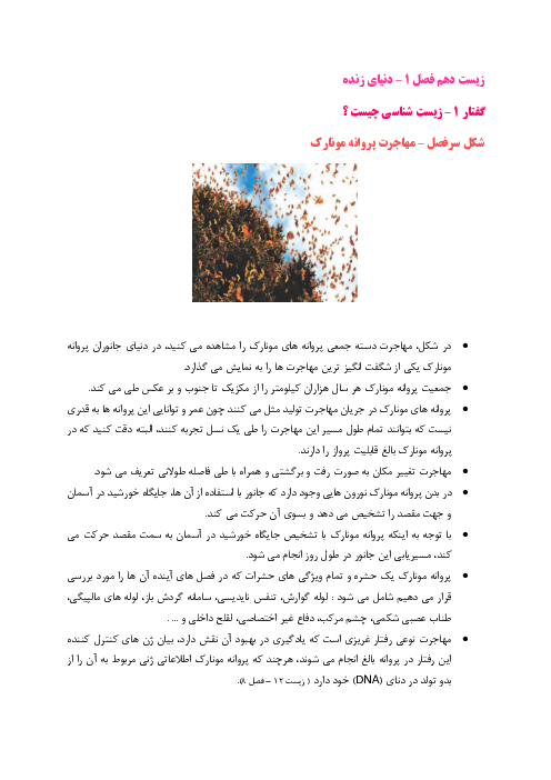 جزوه فصل 1 زیست دهم | دنیای زنده 