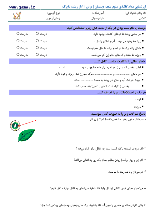  آزمونک علوم تجربی پنجم دبستان  | درس 12: از ریشه تا برگ