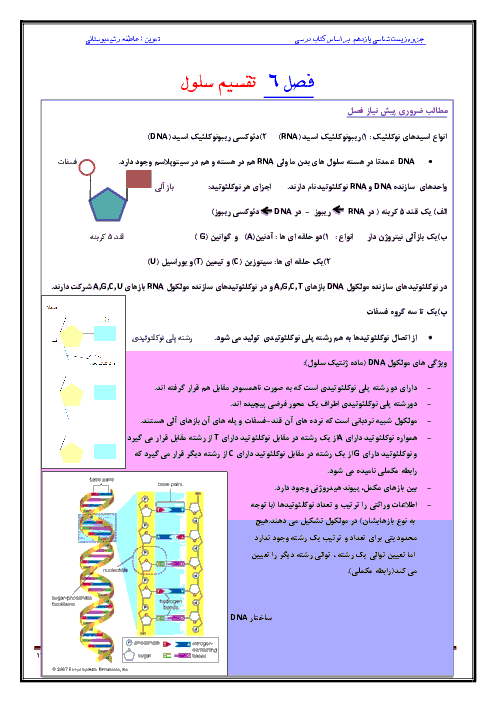 جزوه زیست شناسی (2) یازدهم رشته تجربی | فصل ششم- تقسیم یاخته