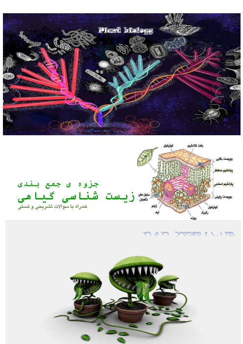 جزوه جمع بندی زیست شناسی گیاهی متوسطه دوم رشته تجربی