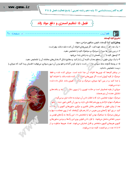گام به گام زیست شناسی (1) پایه دهم اختصاصی رشته تجربی | پاسخ تمامی فعالیت های فصل 5 تا 7