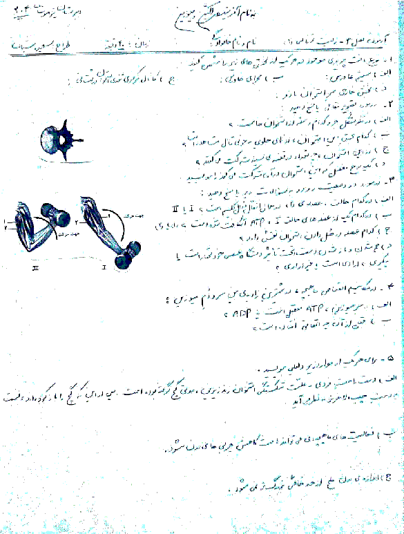 نمونه سوال امتحان زیست شناسی (2) یازدهم رشته تجربی | فصل سوم- دستگاه حرکتی