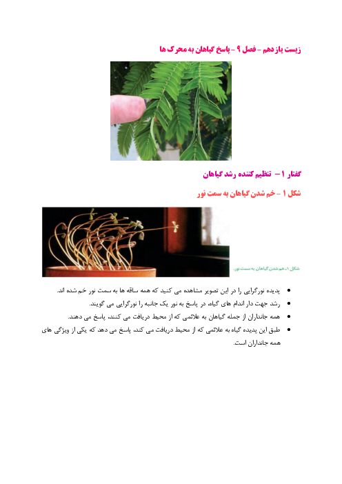جزوه فصل 9 زیست یازدهم | پاسخ گیاهان به محرک ها 
