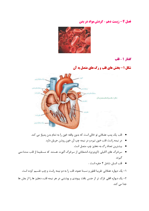 جزوه فصل 4 زیست دهم | گردش مواد در بدن 