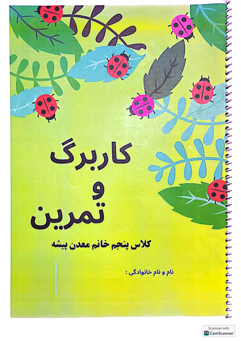کتاب کار دستنویس ریاضی، فارسی و علوم پنجم دبستان