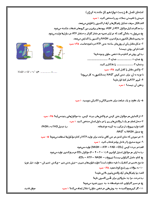 امتحان فصل 5 زیست دوازدهم تجربی | از ماده به انرژی