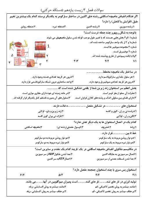 آزمون تستی زیست شناسی (2)  پایۀ یازدهم رشته تجربی با جواب - فصل 3: دستگاه حرکتی