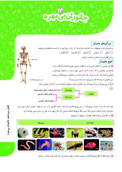 آموزش درس، تمرین و آزمون فصل 13 ام علوم نهم | جانوران بی مهره