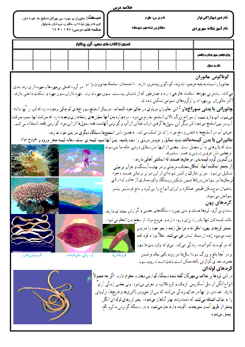 خلاصه درس علوم نهم | مبحث جانوران بی مهره