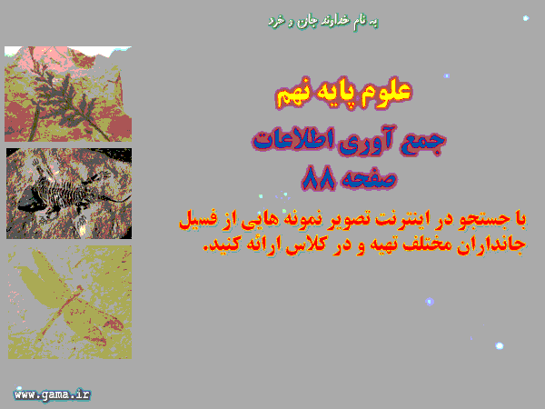 تحقیق جمع آوری اطلاعات صفحه 76 علوم تجربی نهم | تصویر نمونه هایی از فسیل جانداران مختلف 