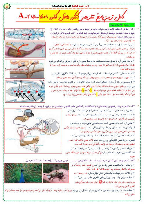 تحلیل 100 تست ماده درسی زیست شناسی در کنکور تیر ماه 1401 داخل و خارج کشور