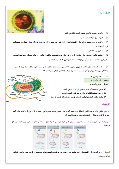 خلاصه نکات فصل اول زیست شناسی (3) دوازدهم (مولکول‌های اطلاعاتی)