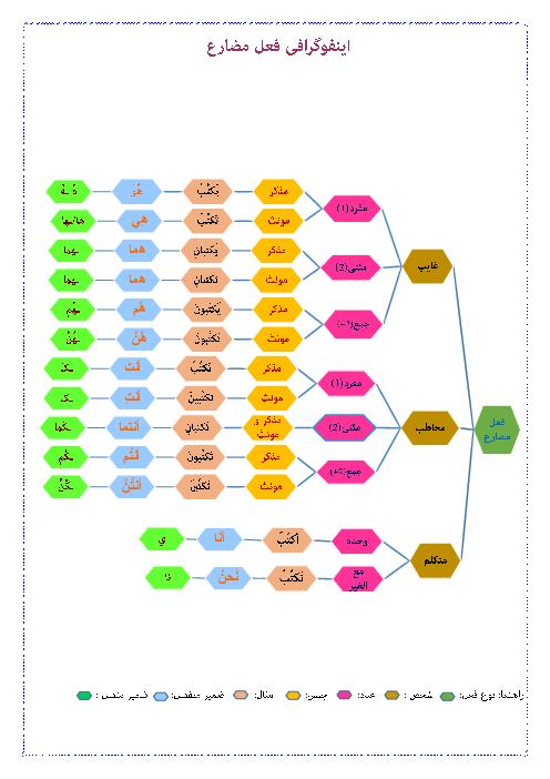 اینفوگرافی فعل مضارع در زبان عربی