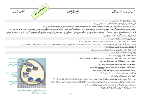 جمع بندی مفهومی و ترکیبی زیست جانوری (جاندارنامه) برای کنکور سراسری