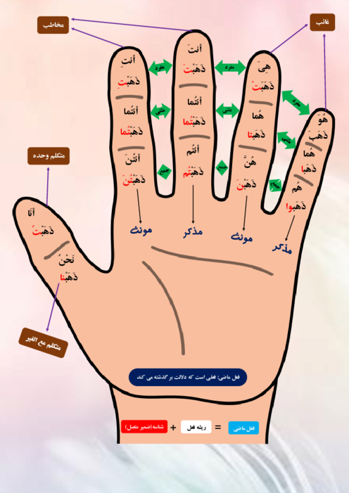 آموزش فعل ماضی با انگشتان دست