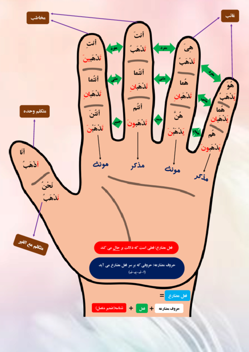 آموزش فعل مضارع با انگشتان دست
