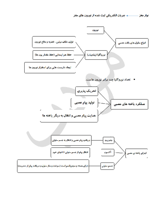 جزوه نمودار مفهومی فصل 1: تنظیم عصبی | درس زیست یازدهم