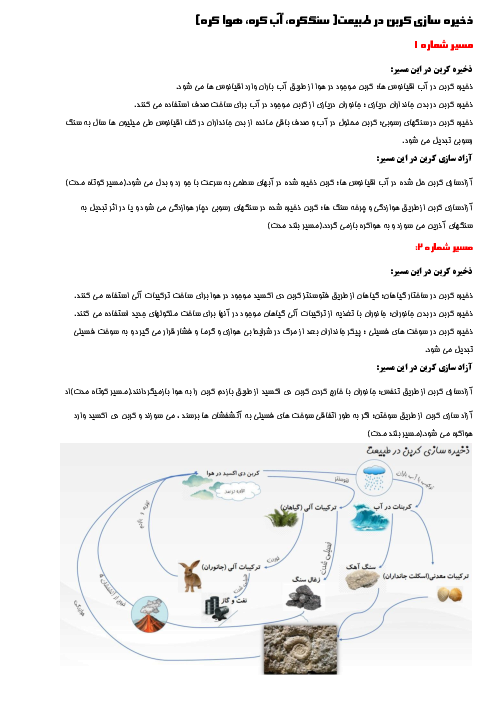 گفت و گو کنید صفحه‌ی 27 کتاب علوم نهم | چرخه کربن در طبیعت 