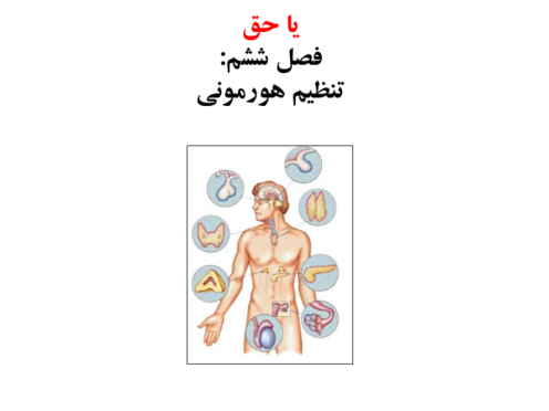 آموزش تصویری فصل 6: تنظیم هورمونی | زیست شناسی هشتم