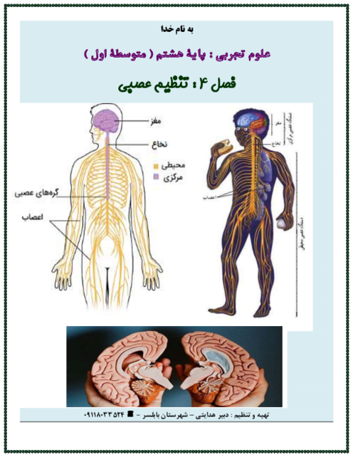 نکته نگار فصل 4: تنظیم عصبی | علوم تجربی پایه هشتم