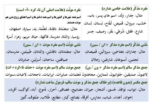 درسبرگ مفرد، مثنی و جمع و مذکر و مونث