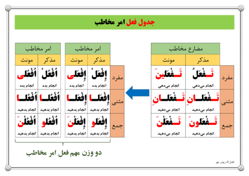 درسبرگ فعل امر مخاطب