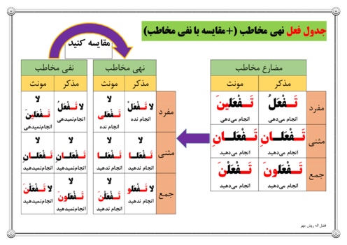 درس برگ فعل نهی و نفی مخاطب