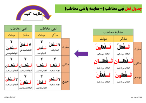 درس برگ فعل نهی و نفی مخاطب