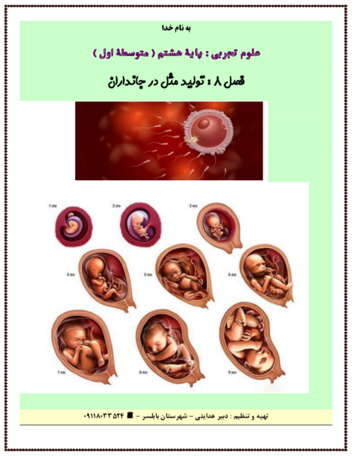 نکته نگار فصل 8: تولید مثل در جانداران | علوم تجربی پایه هشتم