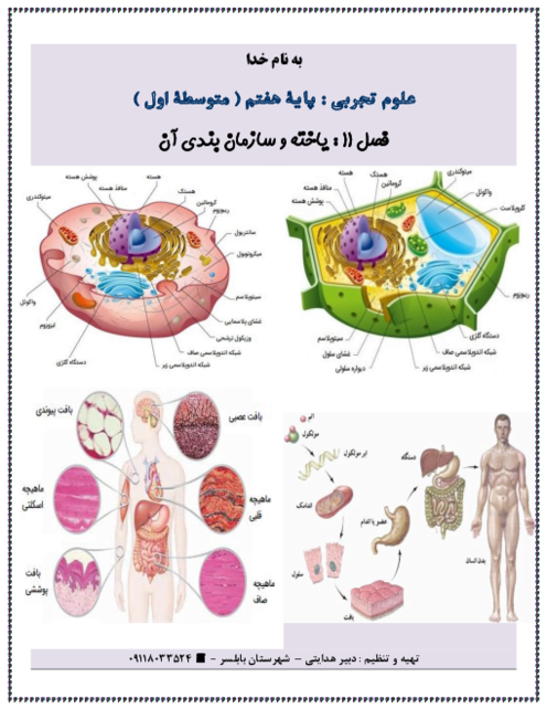 نکته نگار فصل 11: یاخته و سازمان بندی آن | علوم تجربی پایه هفتم