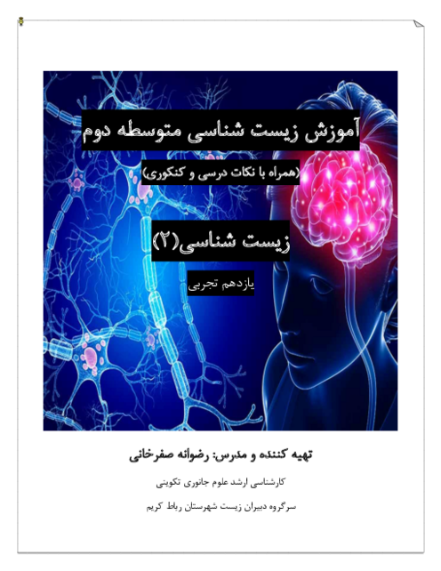 آموزش نکات درسی و کنکوری گفتار دوم فصل 1 زیست یازدهم؛ ساختار دستگاه عصبی