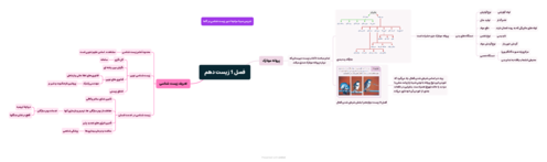 طبقه بندی درختی فصل 1 زیست دهم