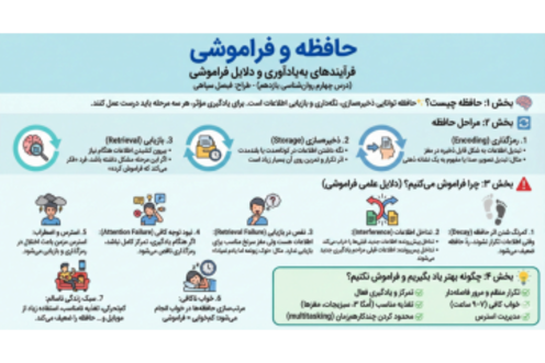 اینفوگرافی درس 4 روانشناسی یازدهم؛ حافظه و علل فراموشی