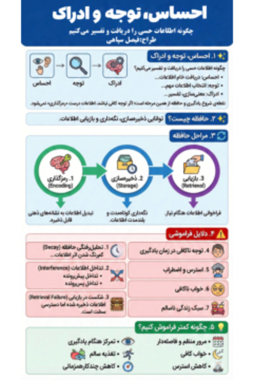 اینفوگرافی درس 3 روانشناسی یازدهم؛ احساس، توجه و ادراک