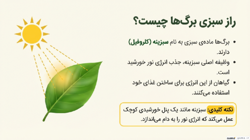 فایل ارائه‌ی PDF درس 11 علوم ششم؛ شگفتی های برگ 