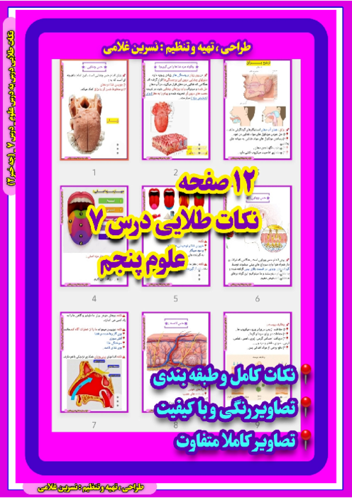 فلش کارت‌های دستگاه چشایی، بویایی و لامسه