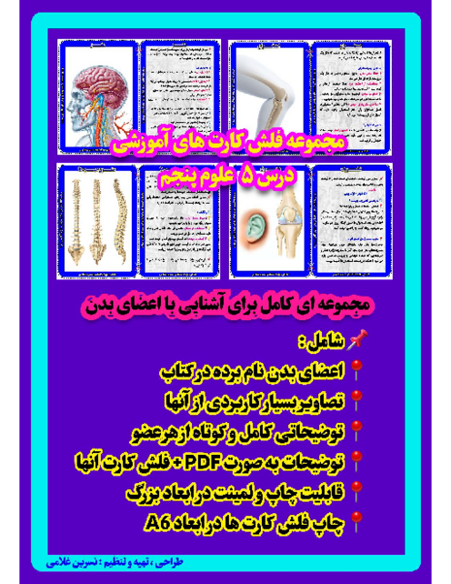 فلش کارت‌های دستگاه ماهیچه‌ای، اسکلتی و عصبی