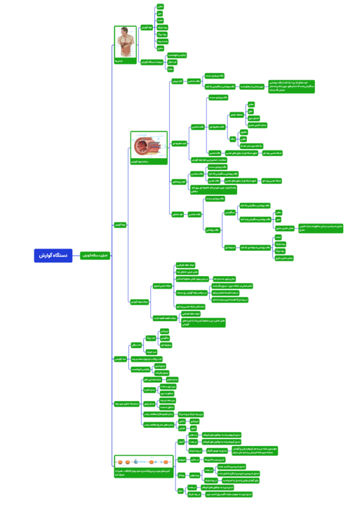 مایندمپ گفتار اول فصل 2 زیست دهم: ساختار و عملکرد لوله گوارش