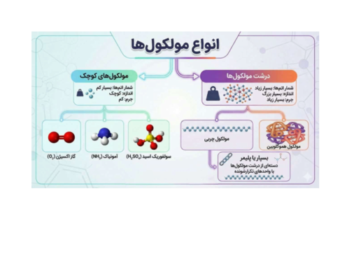 اینفوگرافیک ریزمولکول و درشت مولکول