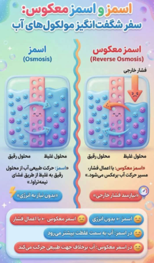 اینفوگرافیک اسمز و اسمز معکوس