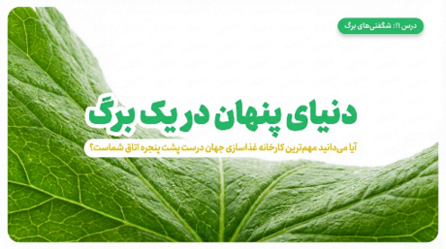 فایل ارائه‌ی علوم تجربی ششم درس 11 : شگفتی‌های برگ